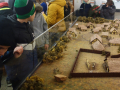 Museum4