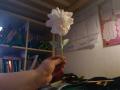 Kristian_5b_Easy-Resize.com_