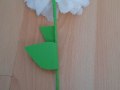 Tuana_2_5c_Easy-Resize.com_