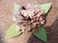 Zsanett_2_5b_Easy-Resize.com_