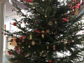 Baum-1