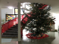baum-2