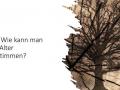 Folie10
