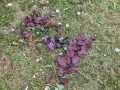 IMG-20211008-WA0000