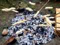 IMG-20211008-WA0008