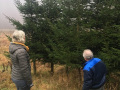 Christbaum-2