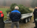 Christbaum-6