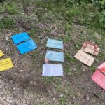 Forschertag Wald und Wasser
