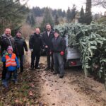 So ein schöner Baum!